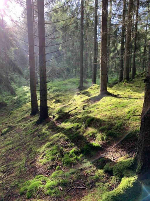 Panoramavy Naera Gbg Och Natur Olofstorp Bagian luar foto